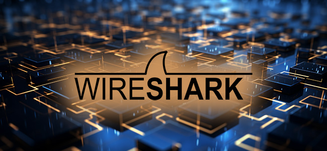 Wireshark 4.2.0