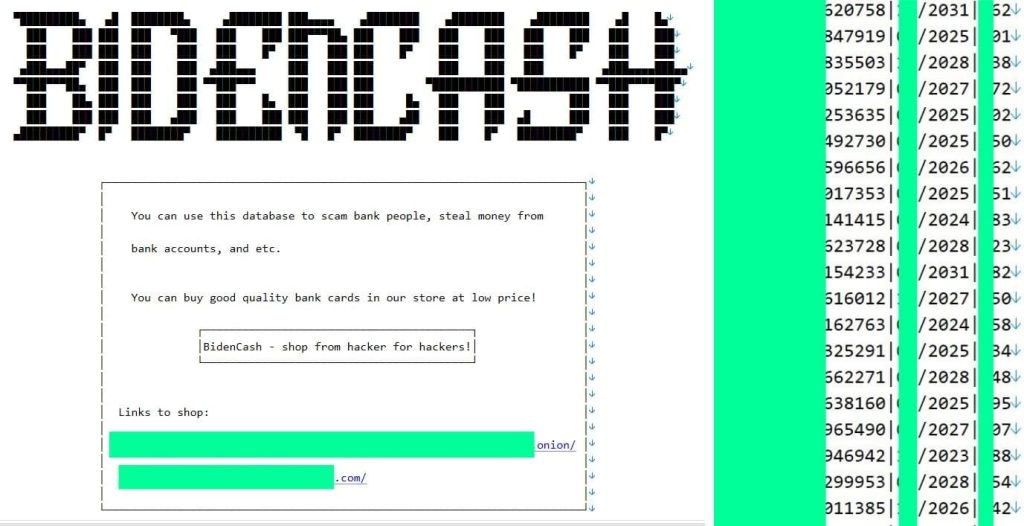 BidenCash Market Leaks 1.6 Million Credit Card Details